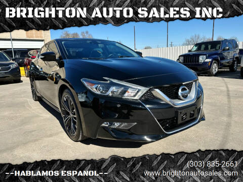 2016 Nissan Maxima for sale at BRIGHTON AUTO SALES INC in Brighton CO