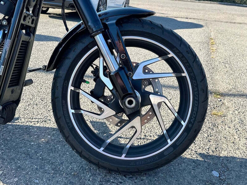 2021 Harley-Davidson Softail