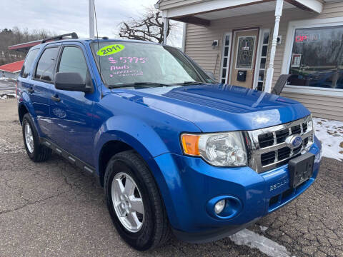 2011 Ford Escape for sale at G & G Auto Sales in Steubenville OH