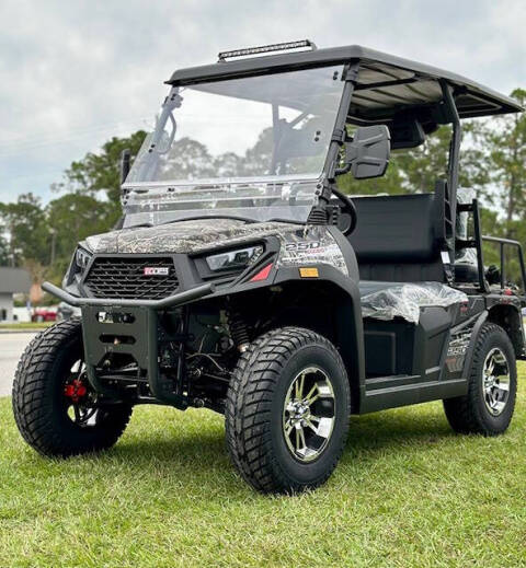 Odes  250 Gas Golf Cart  Image