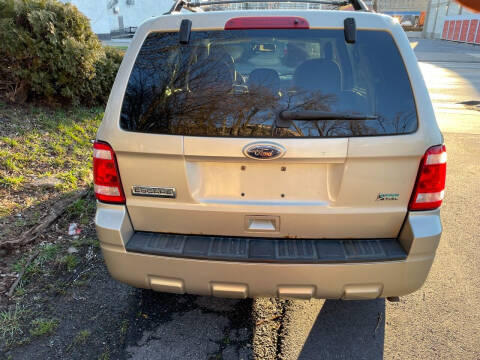 2011 Ford Escape XLT