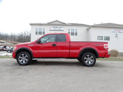 2010 Ford F-150 for sale at SOUTHERN SELECT AUTO SALES in Medina OH