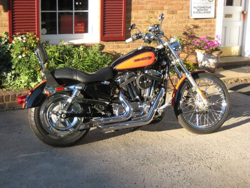 2009 Harley-Davidson Sportster 1200 Custom for sale at Auto Link Inc in Hamilton, VA