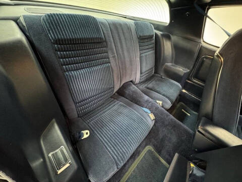 1981 Pontiac Firebird Trans Am