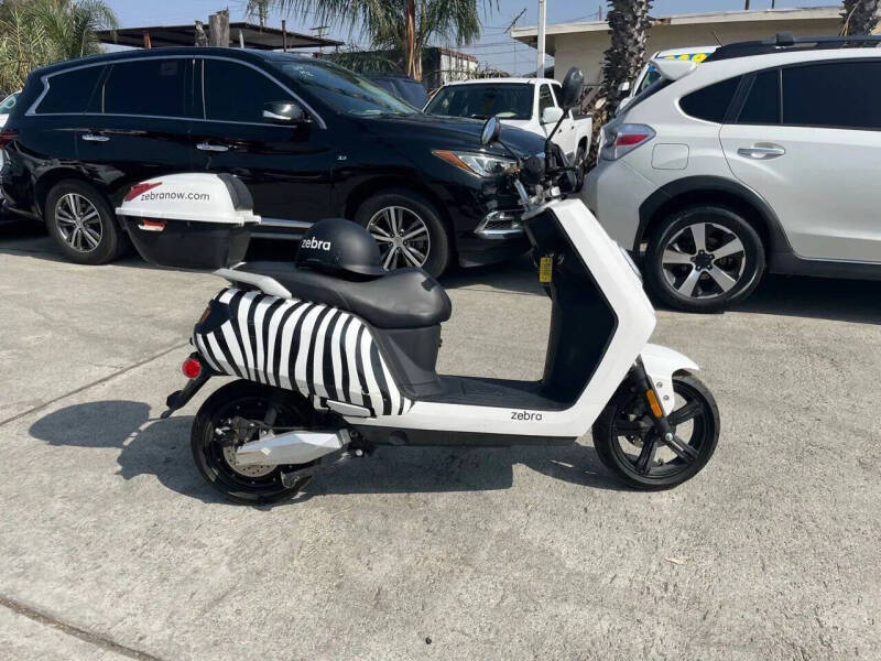 2020 Zebra E-bike