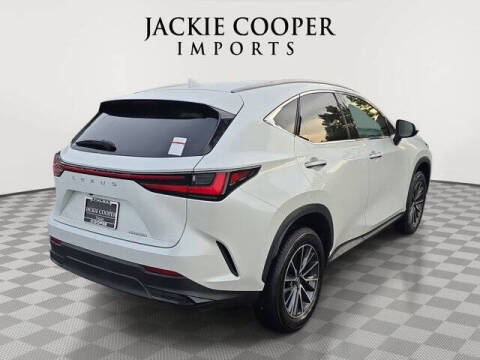 2025 Lexus NX 250