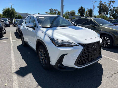 2025 Lexus NX 250 Premium