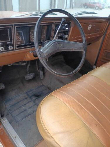 1973 Ford F-100