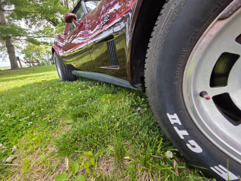 1981 Chevrolet Corvette
