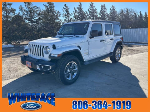 2018 Jeep Wrangler Unlimited for sale at Whiteface Ford in Hereford TX