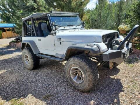 1989 Jeep Wrangler for sale at Classic Car Deals in Cadillac MI