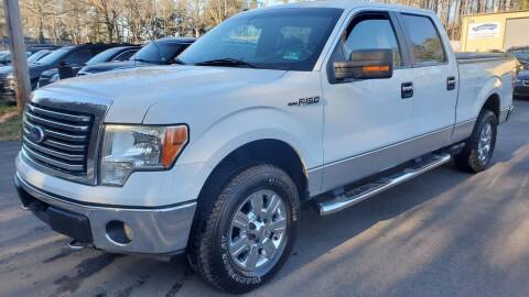 2010 Ford F-150 for sale at GEORGIA AUTO DEALER LLC in Buford GA