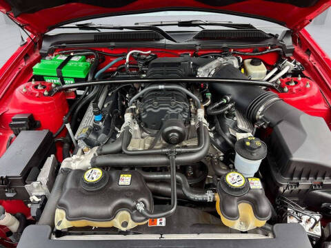 2007 Ford Shelby GT500