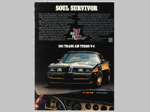1981 Pontiac Firebird Trans Am