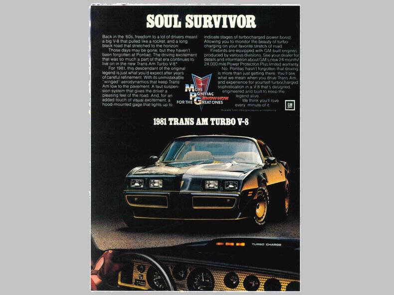 1981 Pontiac Firebird Trans Am
