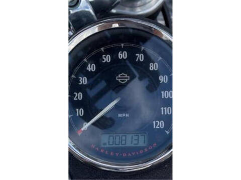 2015 Harley-Davidson FXDL103 / Low Rider