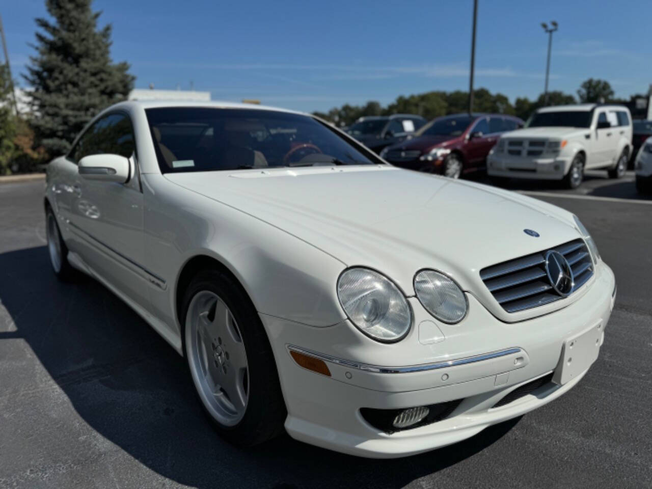 2002 Mercedes-Benz CL-Class for sale at Opus Motorcars in Utica, MI