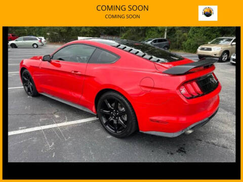 2019 Ford Mustang