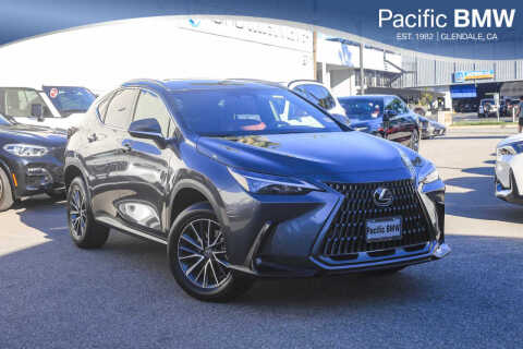 2025 Lexus NX 250