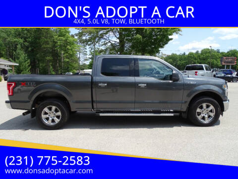 2017 Ford F-150 for sale at DON'S ADOPT A CAR in Cadillac MI