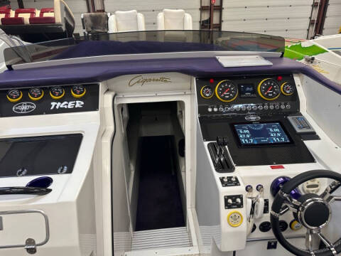 2002 Cigarette Tiger