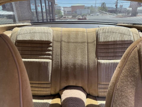 1981 Pontiac Firebird Trans Am