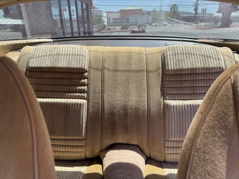 1981 Pontiac Firebird Trans Am