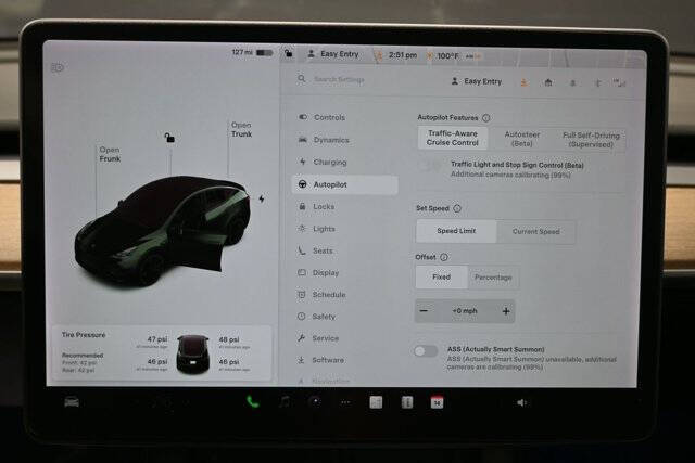 2021 Tesla Model Y Performance