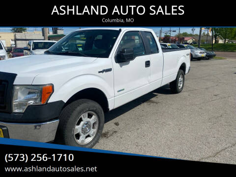 2014 Ford F-150 for sale at ASHLAND AUTO SALES in Columbia MO