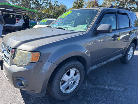 2011 Ford Escape XLT