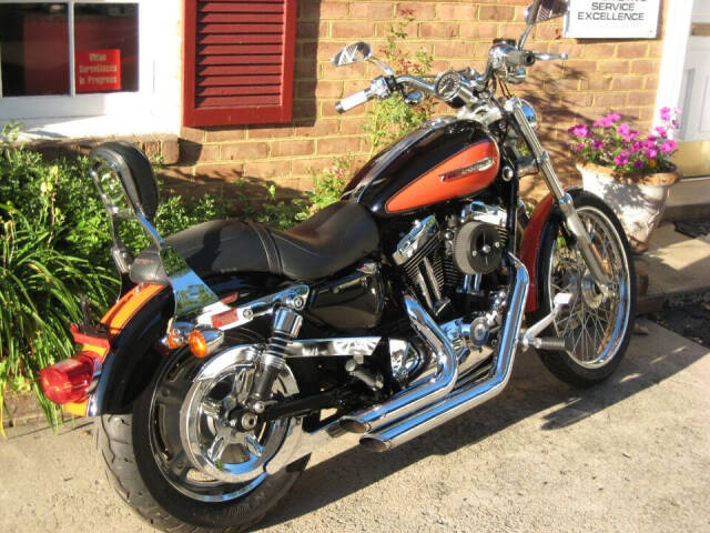 2009 Harley-Davidson Sportster 1200 Custom for sale at Auto Link Inc in Hamilton, VA