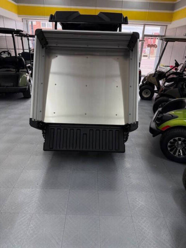 2025 Yamaha UMax Rally Gas - Glacier White