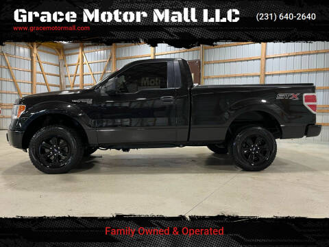 2014 Ford F-150 for sale at Grace Motor Mall LLC in Traverse City MI