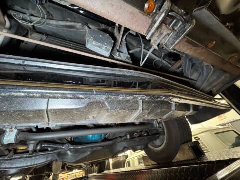 1981 Pontiac Firebird Trans Am