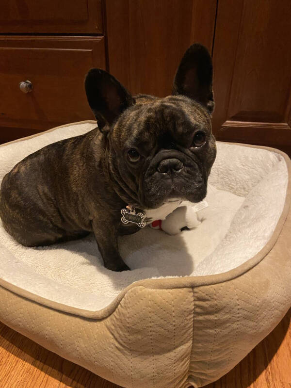 2009 Chevrolet Silverado 3500HD CC Work Truck