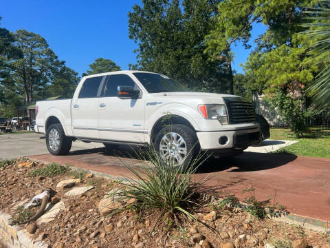 2014 Ford F-150 for sale at Texas Truck Sales in Dickinson TX