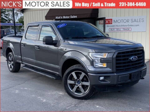 2017 Ford F-150 for sale at Nick's Motor Sales in Kalkaska MI