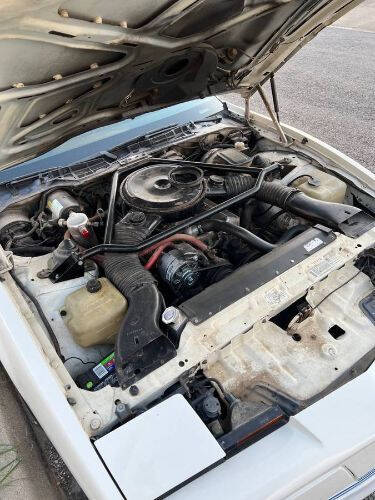 1984 Pontiac Trans Am