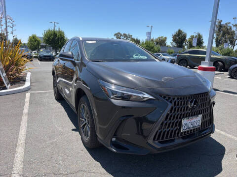 2025 Lexus NX 350 Premium