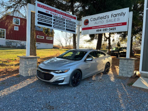 2020 Chevrolet Malibu for sale at Caulfields Family Auto Sales in Bath PA