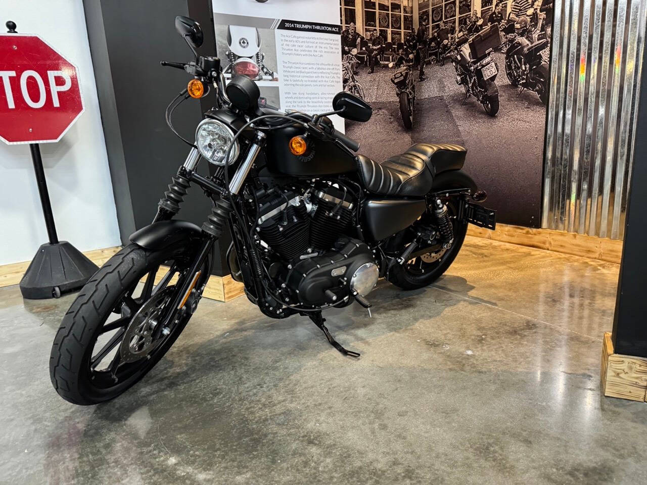 2022 Harley-Davidson XL 883 Sportster for sale at TEXAS MOTORS POWERSPORT in ORLANDO, FL