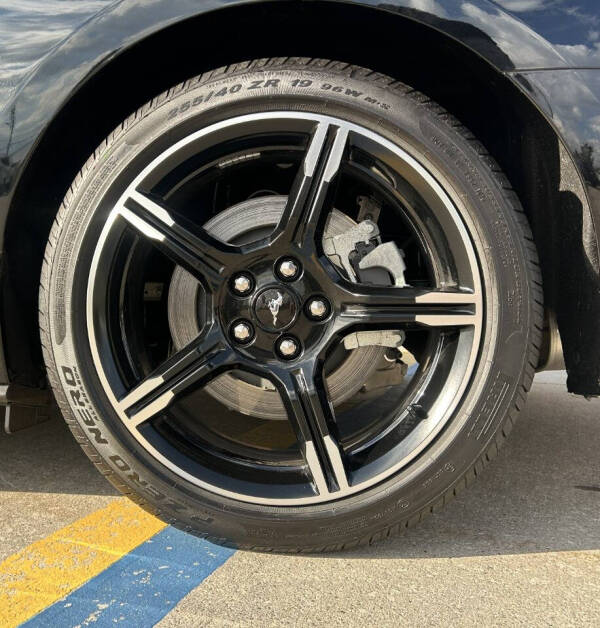 2019 Ford Mustang GT Premium