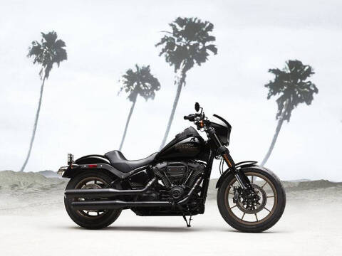 2020 Harley-Davidson Low Rider