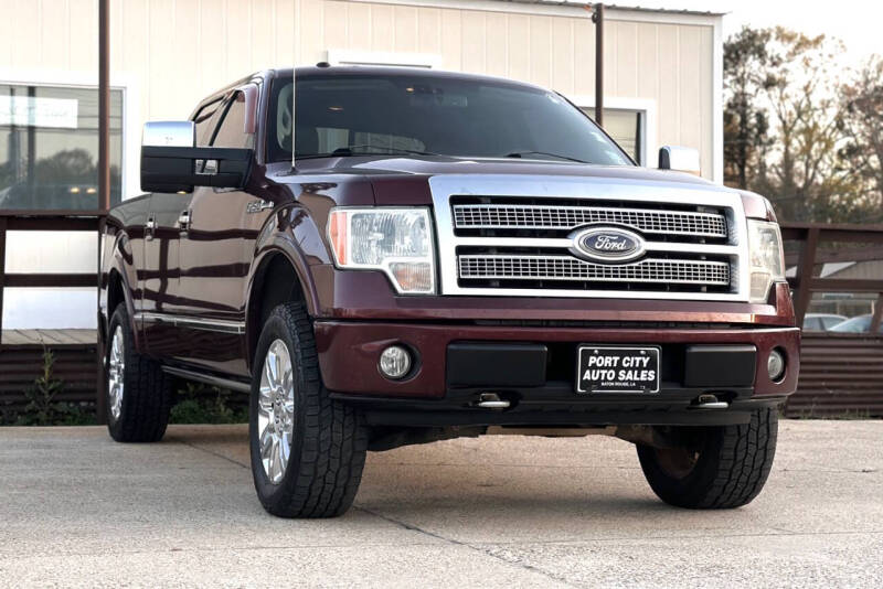 2009 Ford F-150 Platinum