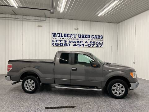 2011 Ford F-150 for sale at Wildcat Used Cars in Somerset KY