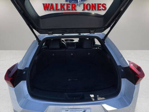 2022 Lexus UX 250h Luxury