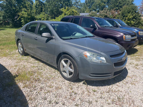 2009 Chevrolet Malibu for sale at HEDGES USED CARS in Carleton MI