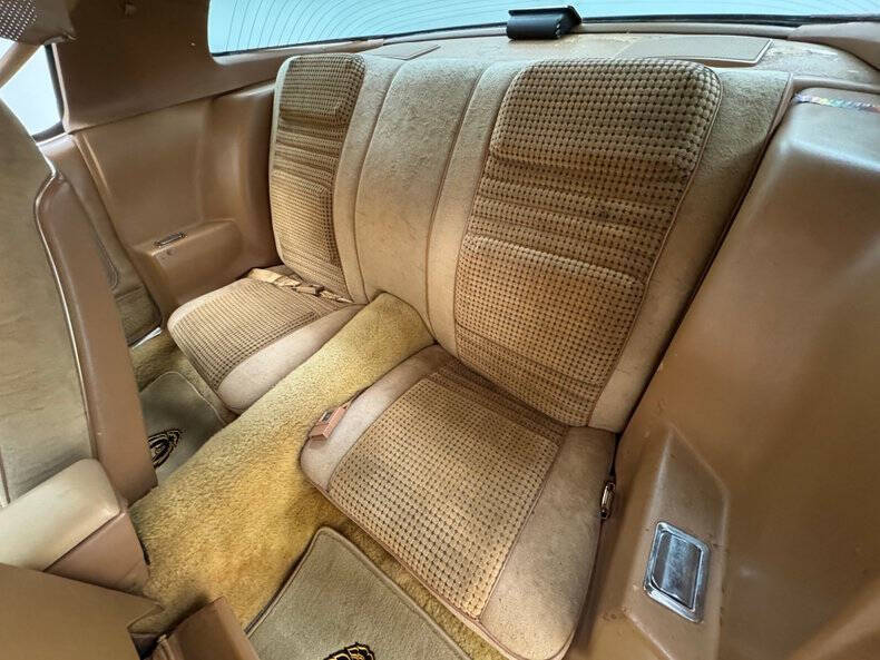 1980 Pontiac Firebird