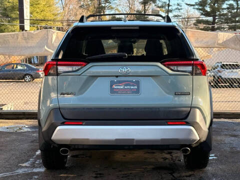 2019 Toyota RAV4 Adventure