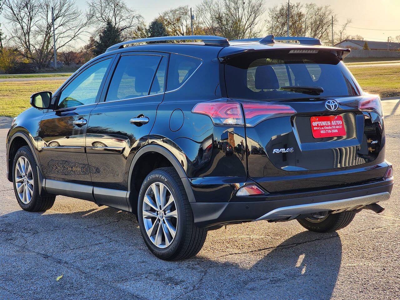 2017 Toyota RAV4 for sale at Optimus Auto in Omaha, NE